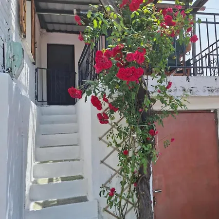 θέα στο βουνό, Mountain View Дом отдыха